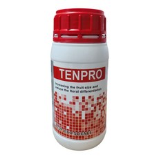 텐프로 액상비료 250ml 뿌리발근 비대 생육촉진 세포분열 도장지억제 작물활력 토양개선, 1개