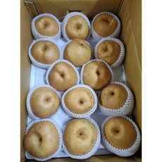 과일참맛 신고배 배 가정용 선물용, 나주배 가정용 15kg 랜덤과(36~45과), 1박스, 15kg