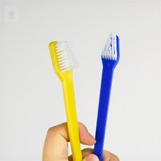 육프로컬렉션 애견 칫솔 유아동물칫솔