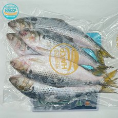 국내산 전어 1kg 구이용 전어구이 조림
