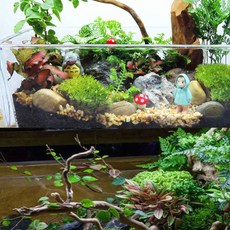 물고기놀이터 어항 꾸미기 피규어 세트 은신처, 1개