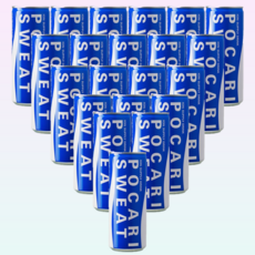 포카리스웨트, 240ml, 30개