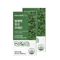 은행잎추출물 징코 브레인 은행잎 GINKGO 플라보놀배당체 아연 90정 2박스, 90회분, 2개