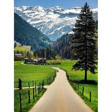 DIYEE 비즈 큐빅 보석십자수 세트 패브릭형 30x40cm, OH010 스위스의 길, 1개