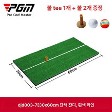 소르베어 파크골프연습매트 겸용 실내 퍼터 퍼팅 홀컵, 솔리드 그라스 30x60cm (화이트라인포함)