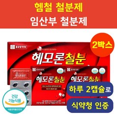 헴철 철분제 식약청인증 헬시위듀 임산부 철분제, 120정, 2박스