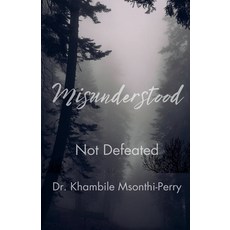 (영문도서)Misunderstood Not Defeated Paperback, Dr. Perry, English, 9798235651326