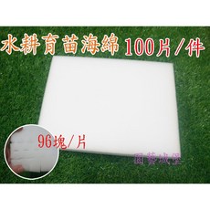 【園藝城堡】水耕育苗海綿(100片/件) 播種育苗專用泡綿, 1個