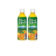 롯데칠성음료 제주사랑 감귤사랑, 500ml, 10개