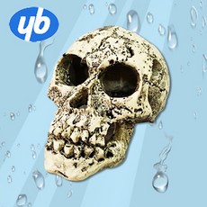 다팜아쿠아 YB 와이비 ZJ-10 심해 소형 해골 레이아웃 놀이터 은신처 장식품 (10x7x7cm)