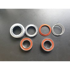 DT SWISS RATCHET EXP 星型齒輪 54t (2020最新EXP花鼓專用 ), 1個