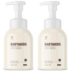 살림백서 베이비 앤 키즈 포밍 아기 젖병세정제 무향, 2개, 500ml