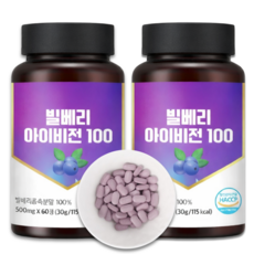 빌베리 안토시아닌 정 빌베리농축분말 추출물 bilberry 식약처 HACCP 인증, 2개, 50회분