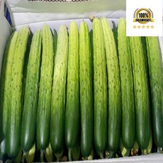 국내산 백오이 백다다기 오이 상, 1개, 백오이 상 1kg