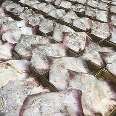 국산 숙성 참홍어 흑산도 홍어 산지직송 250g 500g 1kg(홍어애 증정), 1세트, 국산 홍어 500g (강한 맛)