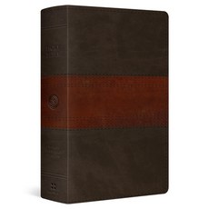 (영문도서)ESV Giant Print Personal Size Bible Red Letter (Trutone Forest/Tan Tr... Imitation Leather, Crossway, English, 9798874906559