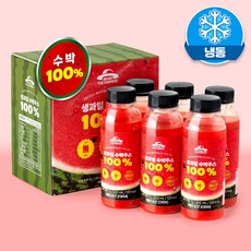 (아이스박스 포장) 왓더파머스 얼린 생과일 살얼음 수박주스 100%, 6개, 300ml