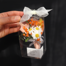 데이지 케이스 미니꽃다발, 오렌지