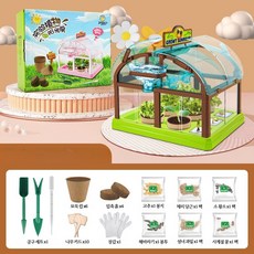 식물키우기 관찰키트 과학실험 화분놀이세트 재배 텃밭 식물 성장 관찰 과학 실험 선룸, 그린