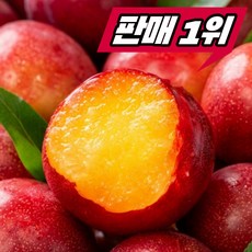 [26년첫수확] 요즘 제철 과일 대석자두, 1박스, 1kg
