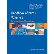 (영문도서) Handbook of Burns Volume 2: Reconstruction and Rehabilitation Paperback, Springer, English, 9783709119211