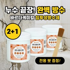 바르다케미칼 침투형 바르는 방수제 셀프 옥상 투명 발수 외벽 욕실, 3개, 300g