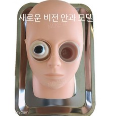 눈수술 연습 모형 안과 소품 모델 안구 실습 인체 해부 브래킷, B. 쌍안경 단일 고정 컬럼(순정 총검 고정)