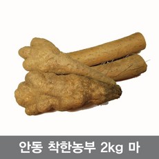 (햇참마씨앗) 안동참마 씨앗 영여자 2키로 (정직을 배달합니다), 1개, 장마 알뜰 2키로