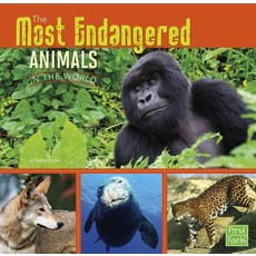 The Most Endangered Animals in the World Hardcover, Capstone Press