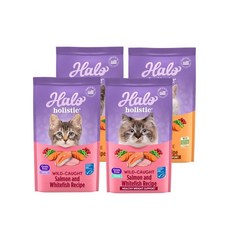 HALO 嘿囉 無穀貓飼料, 4.53kg, 1個, 幼貓鮭魚