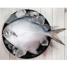 국산 목포 참병어 구이용 홧감용 자랭이 당일손질 스킨포장 어시장 산지직송, 1개, 횟감용 자랭이 3미