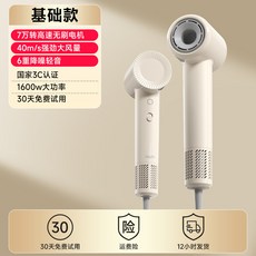 반려동물 울트라 저소음 고속 펫 헤어드라이어 강아지 고양이 전용, 베이직, 1개, 1L