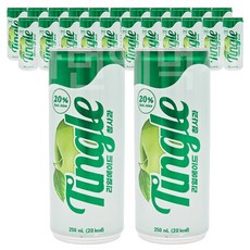 Tingle 리얼에이드 청사과 프리미엄 탄산음료, 24개, 250ml
