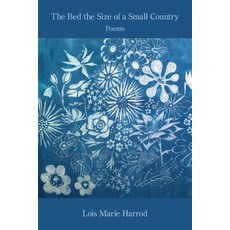 (영문도서)The Bed the Size of a Small Country Paperback, Kelsay Books, English, 9781639807796