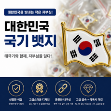 타본 대한민국 국기 뱃지 5개 세트 태극기 배지 가방 모자 브로치 포인트 핀