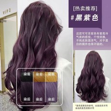 慕斯泡泡染髮劑 鳶尾藍黑 植物配方, 黑紫色（泡泡染）,330ML大容量洗髮上色, 1個