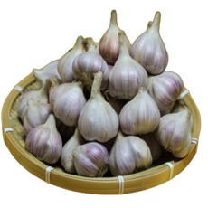 국내산 햇 대서마늘(통마늘 안깐마늘) 1개, 1박스, 5kg-대