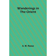 (영문도서) Wanderings in the Orient Paperback, Alpha Edition, English, 9789362996176