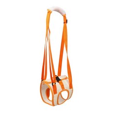 브랜드없음 뒷다리 강아지 보조벨트 보호대 노령견, 차밍오렌지, M, 1L