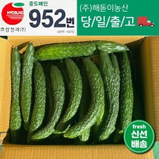 해돋이농산 국내산 오이 가시오이 청오이 못난이오이 3kg 5kg 10kg(상세페이지꼭참고하시기바랍니다), 1개