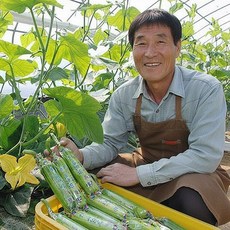 산지직송삼대장 특품 주키니 애호박, 5개