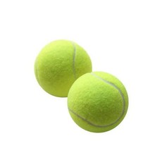 오아모먼트 팡쿠 자동 발사기 발사 공던지는 강아지 공놀이 던지기 기계 공 개 테 산책, A. 테공 2개