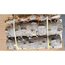 아름건어물 엄나무 단 약 650g, 1개