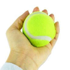 엘림숲 테니스공 3P 테니스연습공