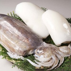 [산지직송] 국내산 손질 갑오징어 당일발송, 1개, 1kg