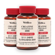웰리카 프리미엄 크레아틴 모노하이드레이트 4000, 3개, 120정