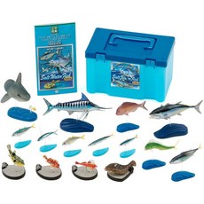 Colorata 立體圖鑑 海水魚模型組, 1個, 新款/日本海水魚/15種