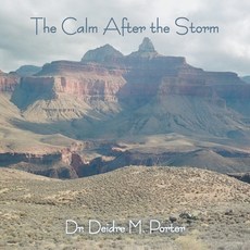(영문도서) The Calm After the Storm Paperback, Authorhouse, English, 9798823031721