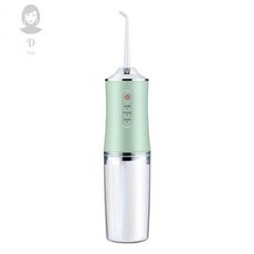 진심글로벌 전동치실 전동칫솔 구강세정기 휴대용, 1개, F81 프리미엄 민트그린 [노즐 1개 포함], 기본 모델명/품번