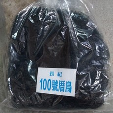 花眉鳥網 防鳥網網目直徑4公分 60號尺寸高8尺長40尺, 1個, 厝鳥網100號高8尺長66尺6分網